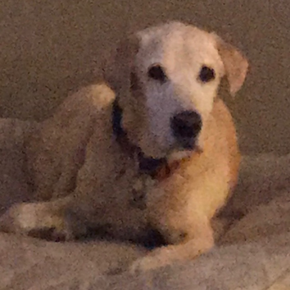 Meet your Posher, Richel